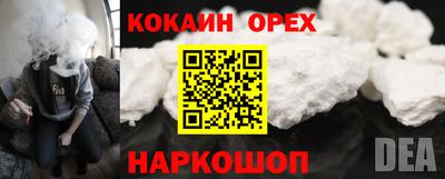 дурь Камышлов