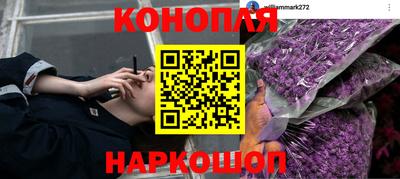 MESCALINE Канаш
