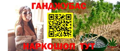 дурь Камышлов