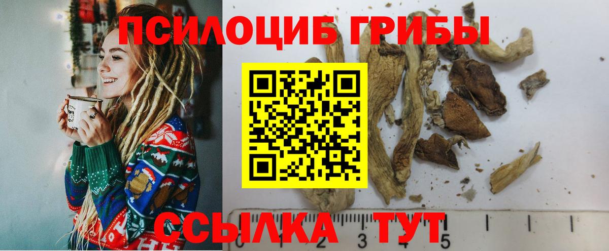 Псилоцибиновые грибы Psilocybe  Вход с VPN  Галлюциногенные грибы мухоморы  Горячий Ключ 